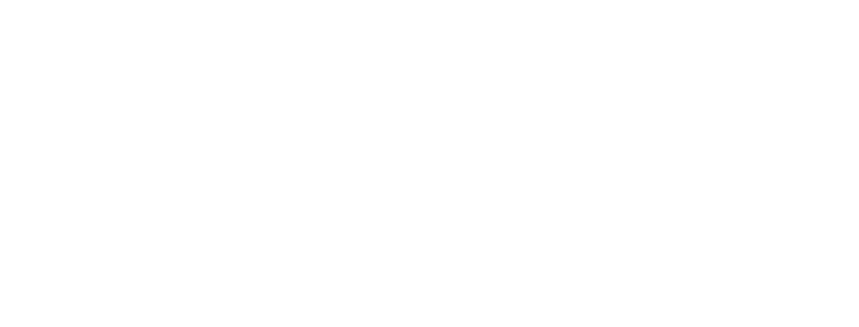 3bees